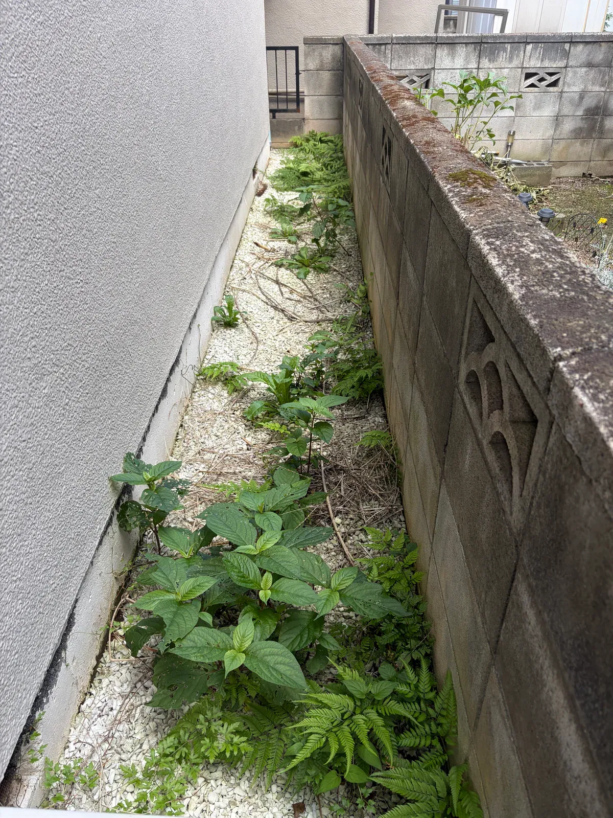 アフターサポートで草むしりを行う前の建物まわり