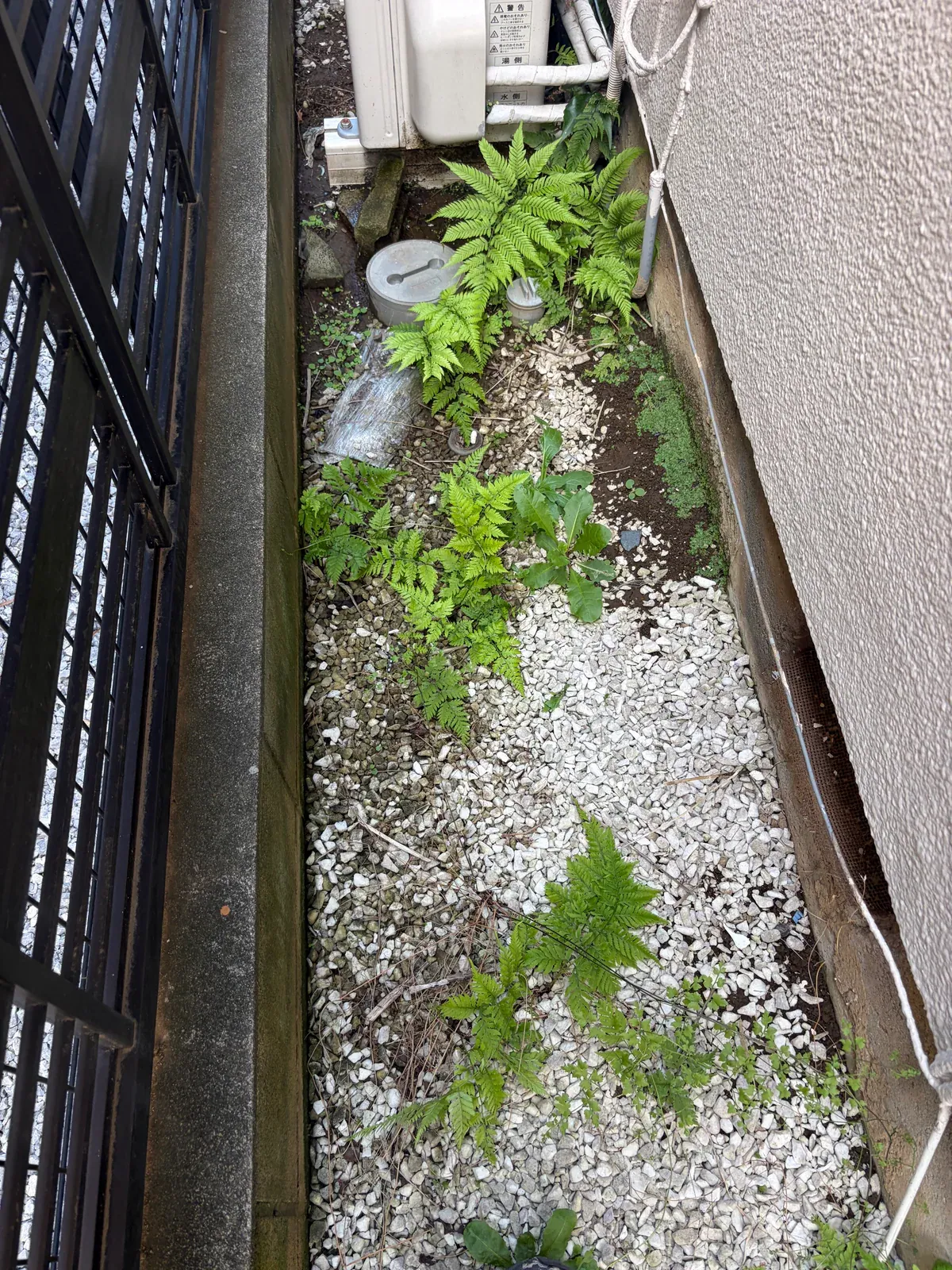 建物まわりの草むしり前の様子