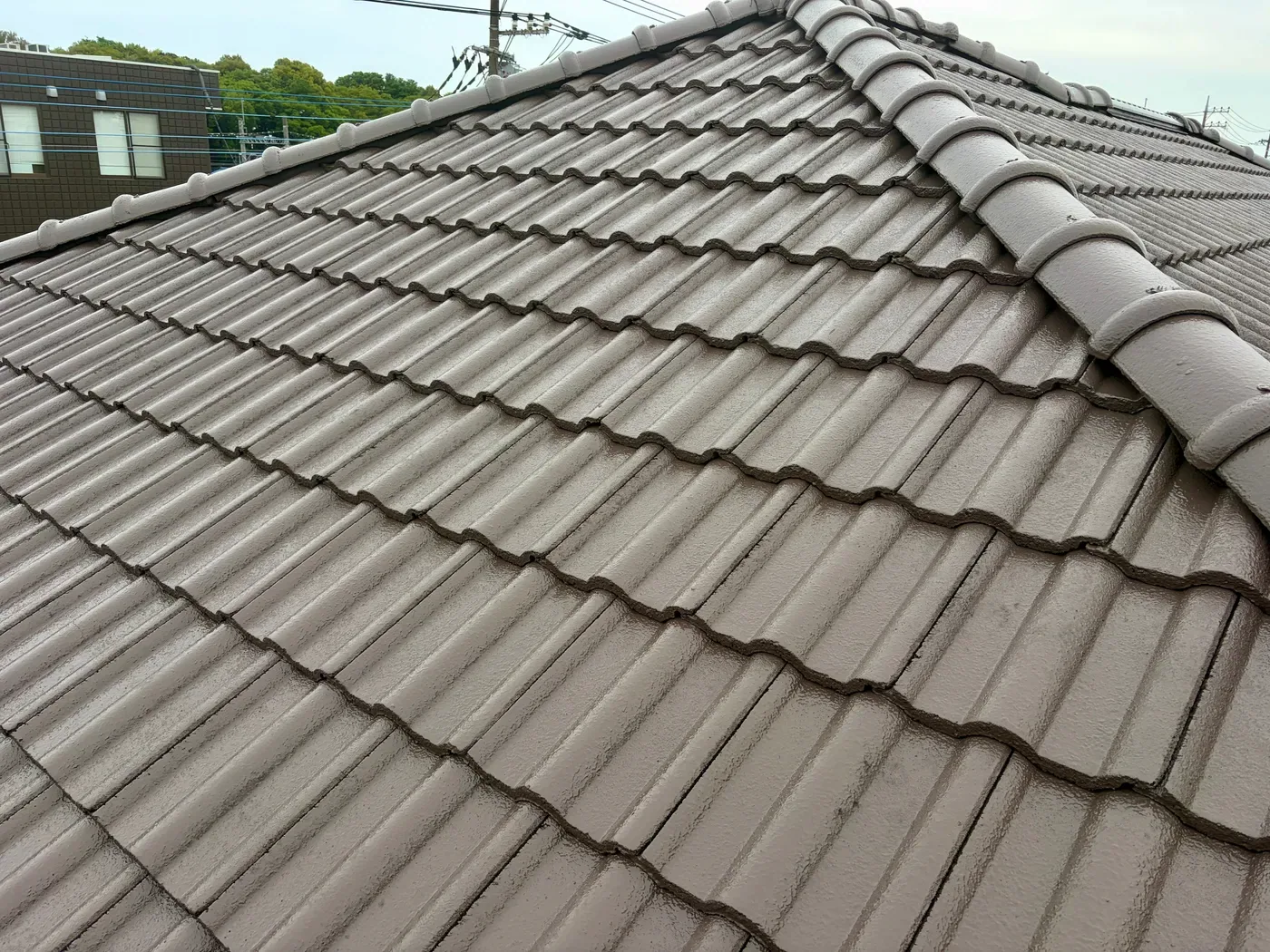 中塗りが完了した面
