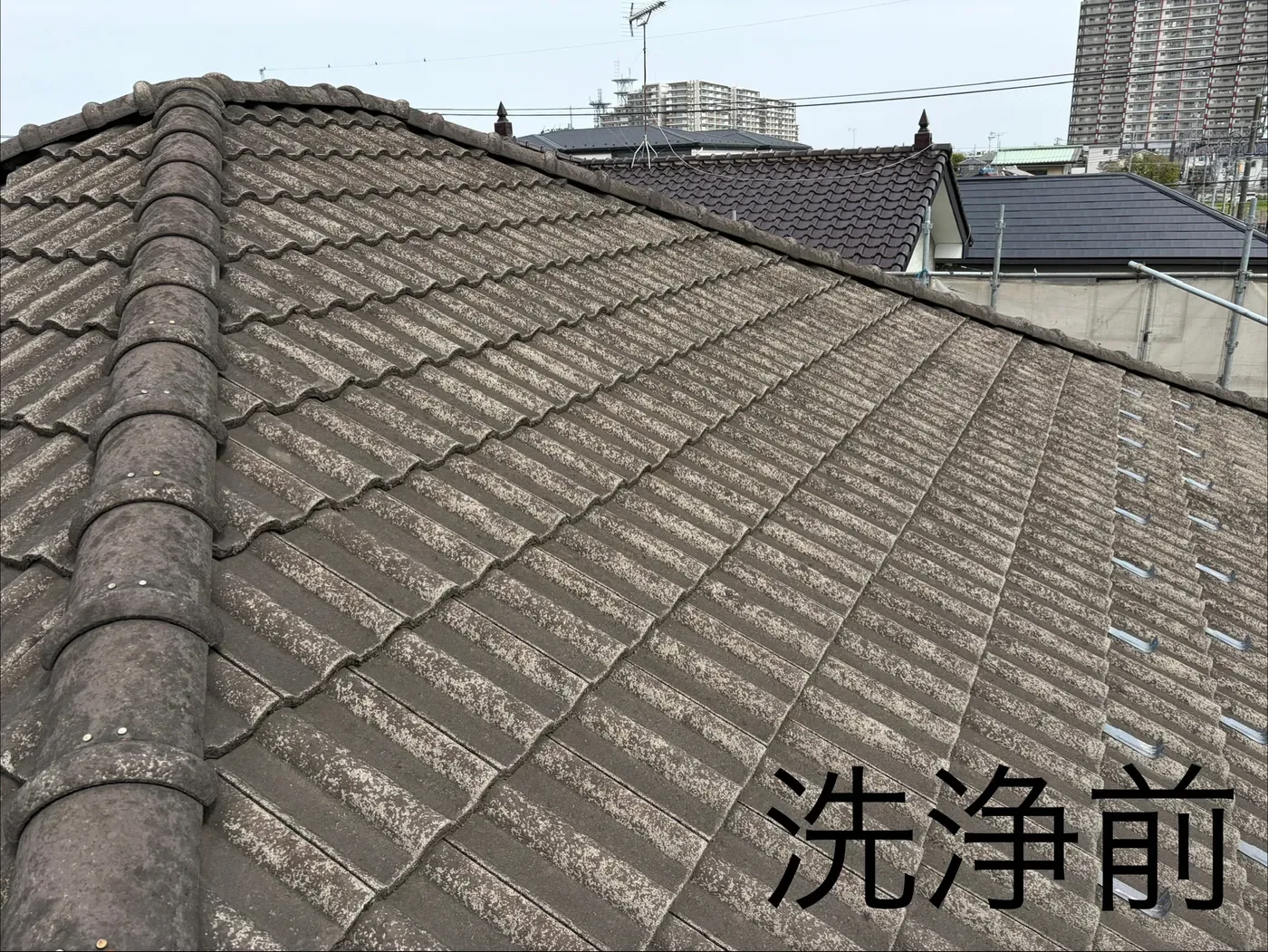 BEFORE ／ 洗浄前