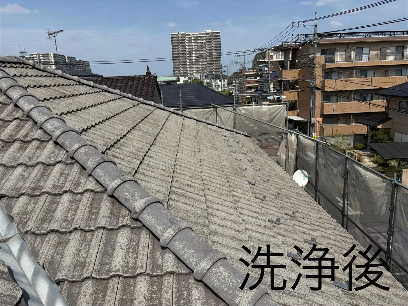 AFTER ／ 洗浄後